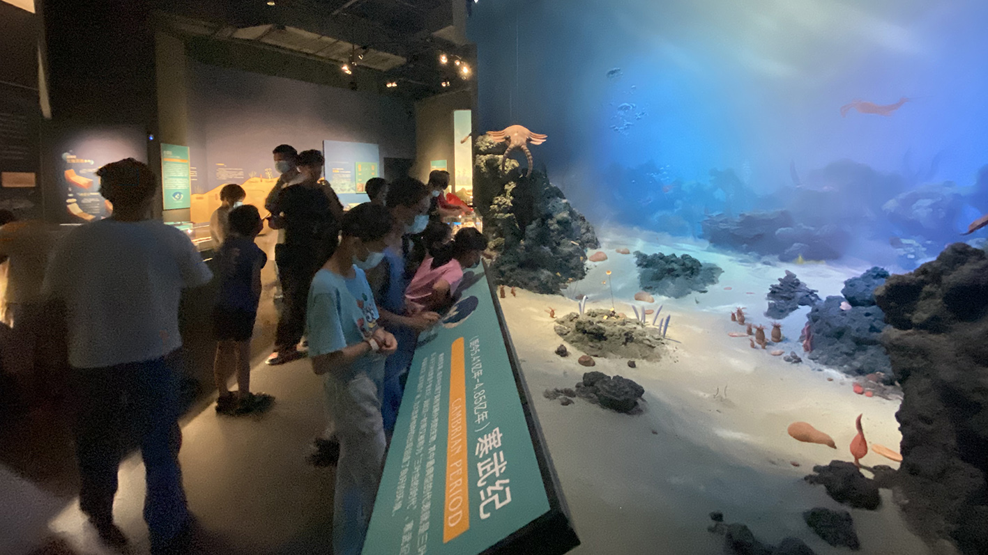 漫走設(shè)計(jì)丨打卡順德自然科學(xué)館，探索“快樂星球”！