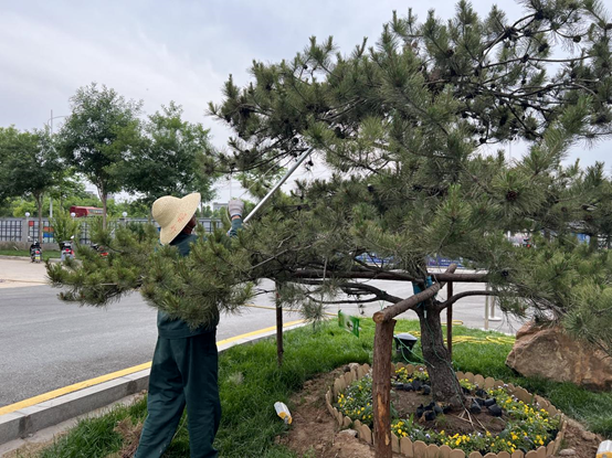 走進(jìn)園區(qū)，感受夏日炎炎里的“理想之城”！